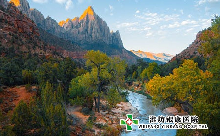 白癜風(fēng)有哪些癥狀?應(yīng)該如何調(diào)理?