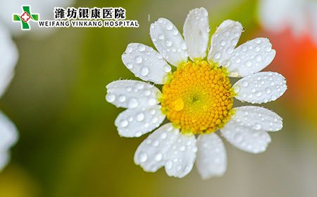孕婦白癜風注意事項有哪些?如何養身?