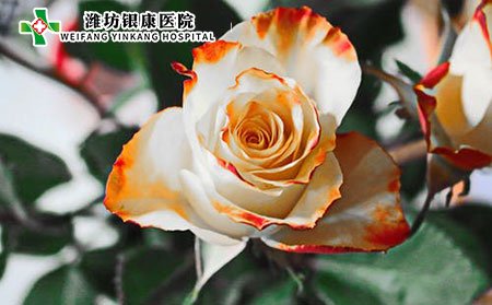 在日常生活中如何預防白癜風?